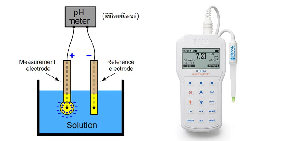 การทำงานของ pH meter