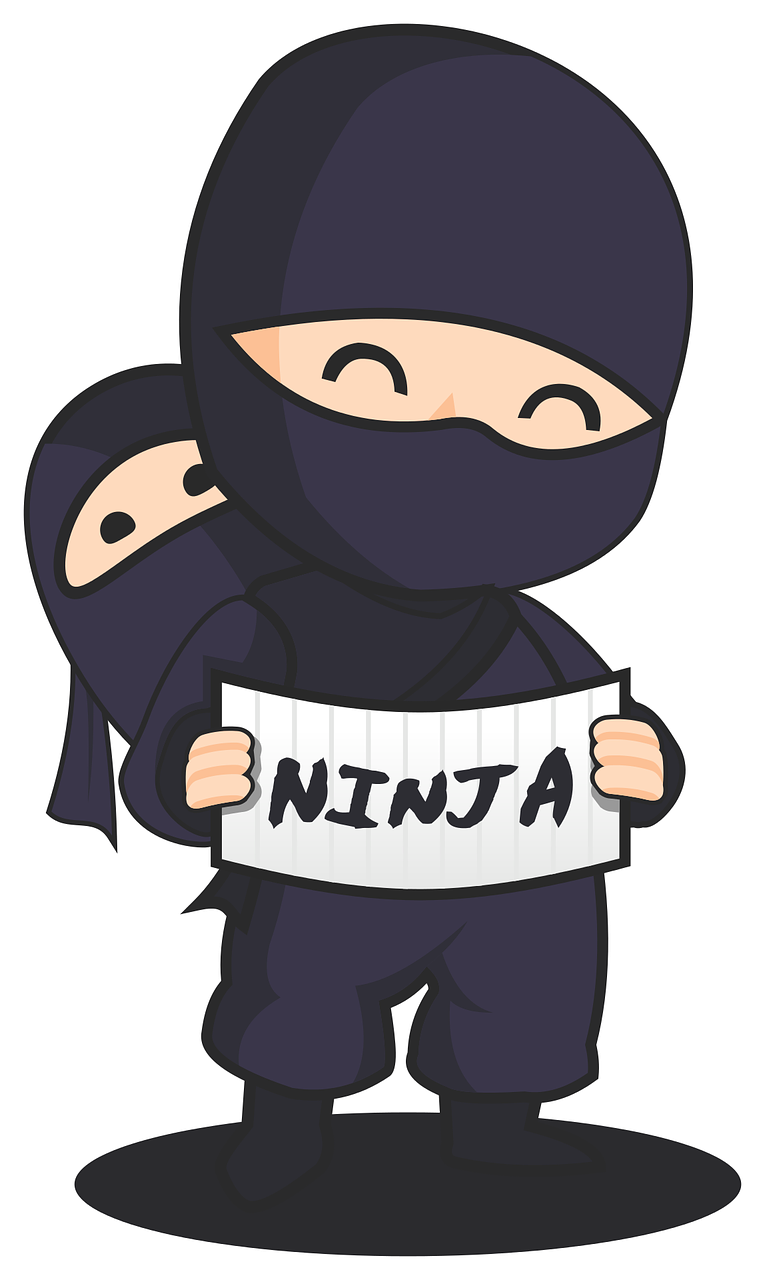 ninja-g88d20c2cc_1280