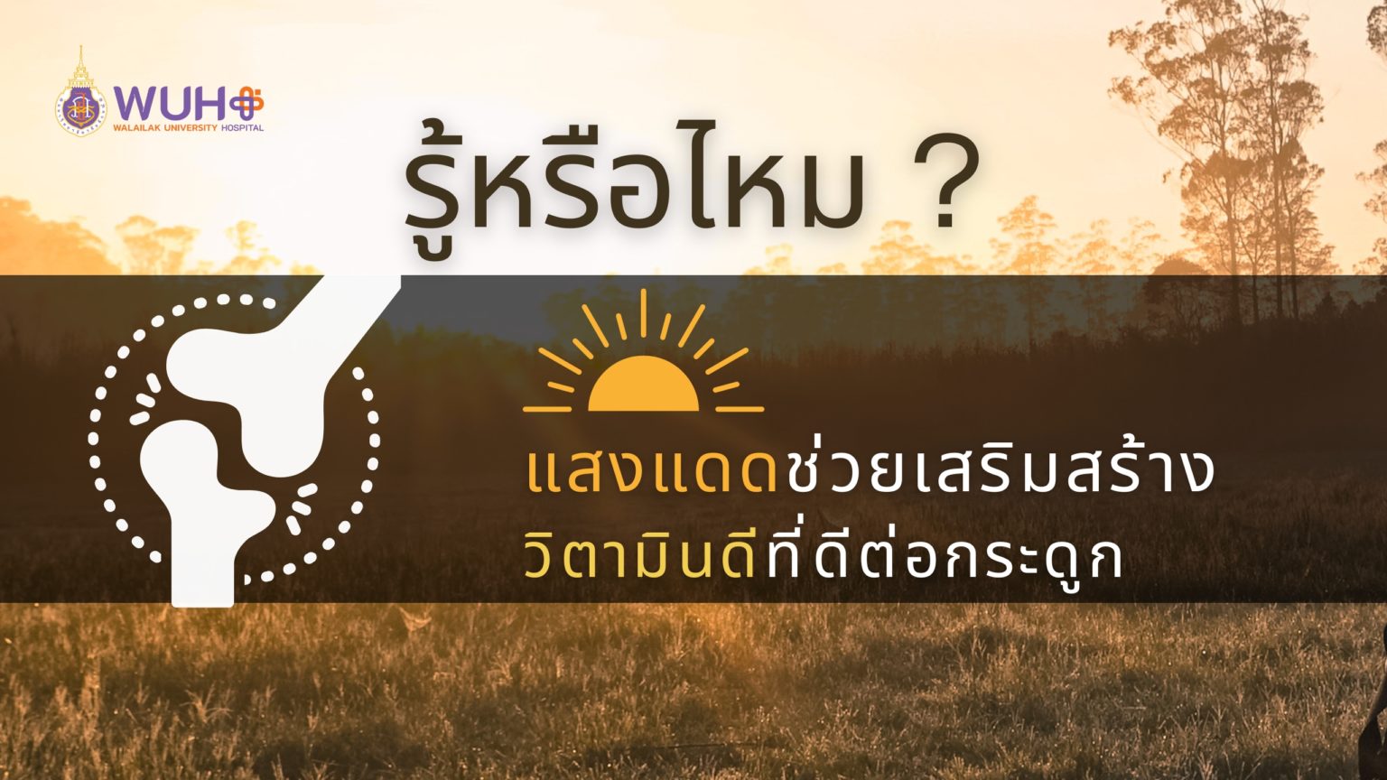 แสงแดดและวิตามมินD