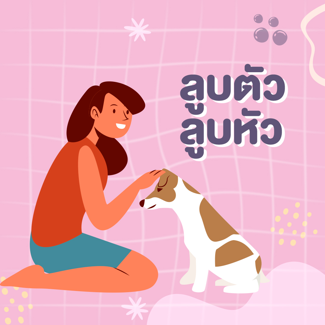 เมื่อน้องหมาน้องแมวกลัวเสียงดัง แล้วเราควรทำอย่างไรกันดี