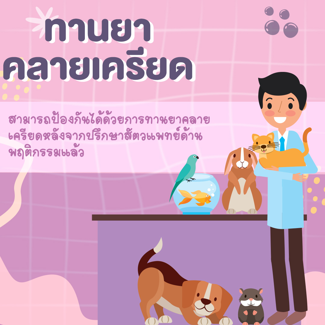 เมื่อน้องหมาน้องแมวกลัวเสียงดัง แล้วเราควรทำอย่างไรกันดี