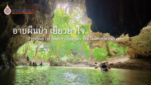 อาบผืนป่า เยียวยาใจ