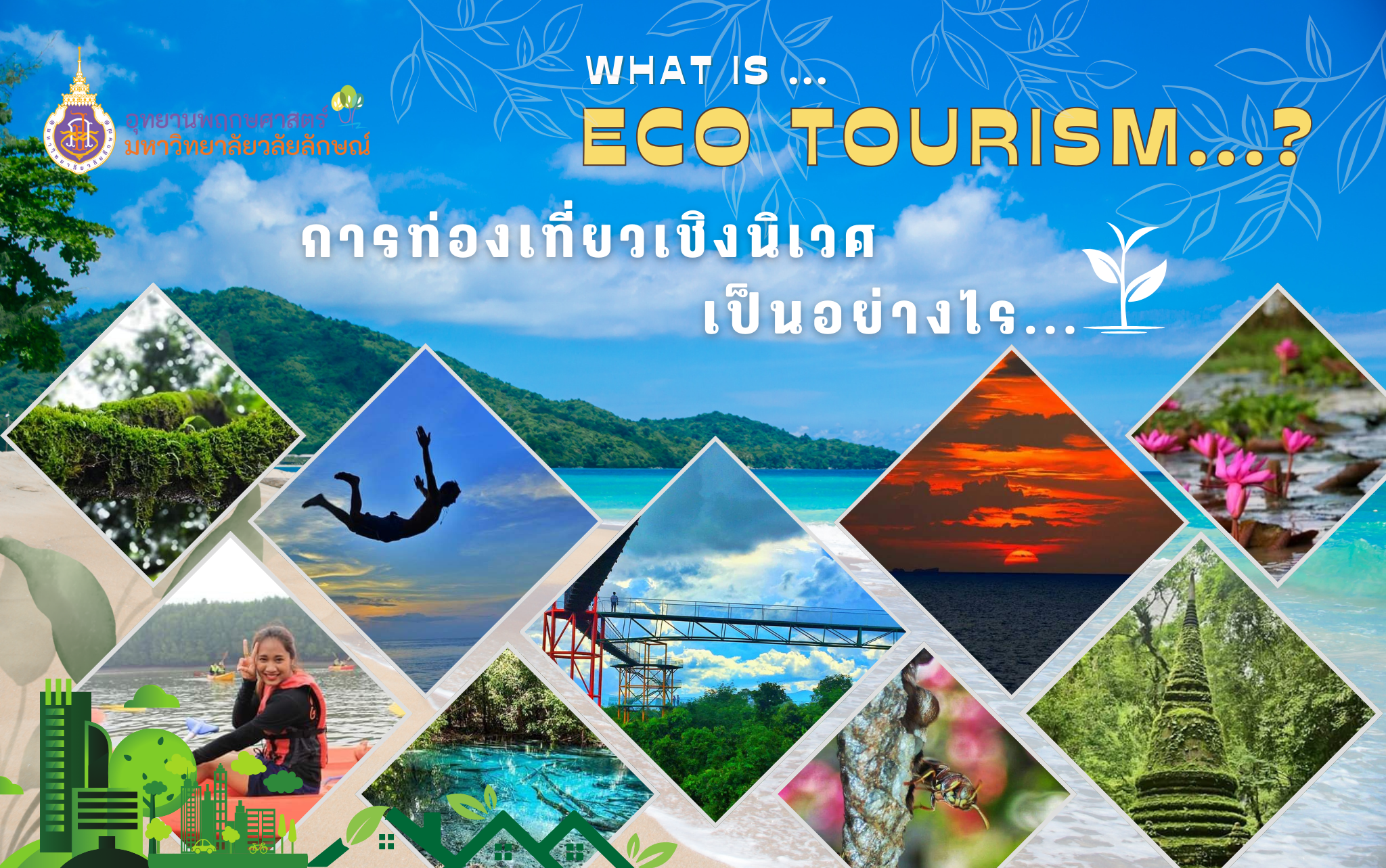 Eco Tourism