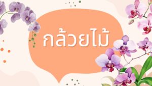 กล้วยไม้