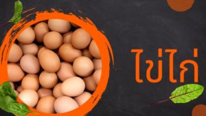 ไข่ไก่