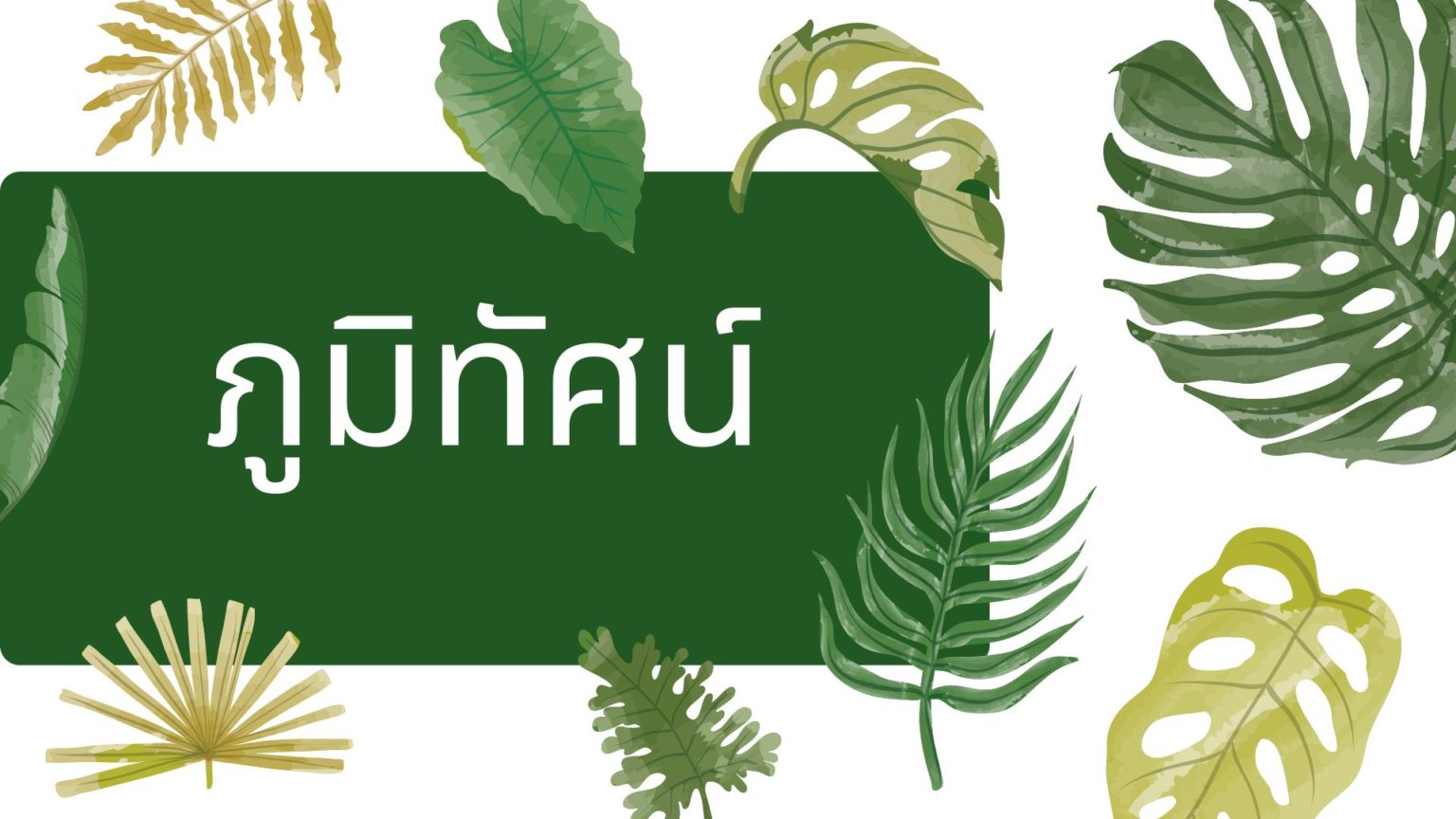 ภูมิทัศน์