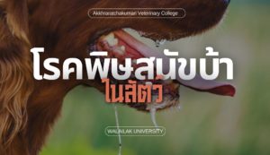 โรคพิษสุนัขบ้าในสัตว์