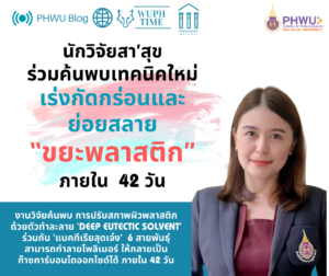 Development of a plastic waste treatment process by combining deep eutectic solvent (DES) pretreatment and bioaugmentation with a plastic-degrading bacterial consortium