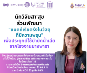 Bioaugmentation of activated sludge with the immobilized 2-mercaptobenzothiazole-degrading bacterial consortium for rubber industrial wastewater treatment