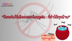 ป้องกันไข้เลือดออกในฤดูฝน: ที่ทำได้ทุกบ้าน