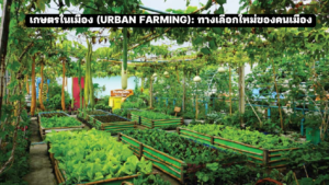เกษตรในเมือง