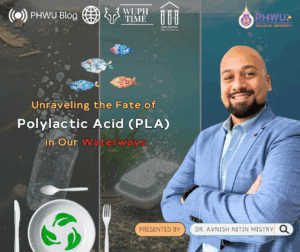 Unraveling the Fate of PLA in Our Waterways