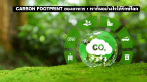 carbon footprint