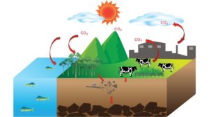 สารฮิวมิก ช่วยโลกร้อน