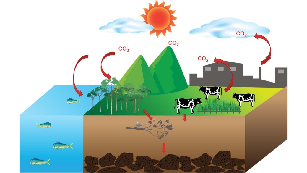 สารฮิวมิก ช่วยโลกร้อน