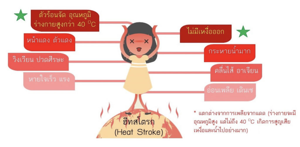 อาการของผู้ป่วยโรคลมร้อน