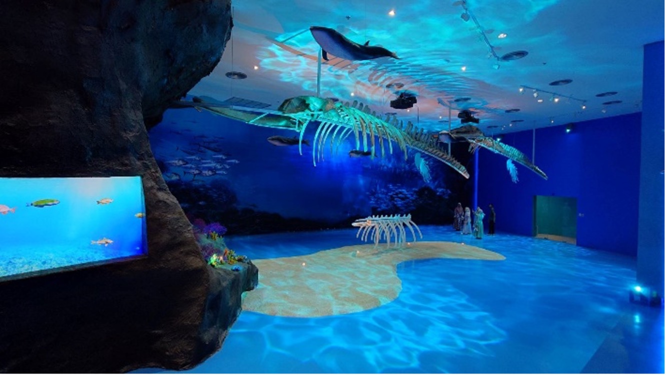 ถ้าย้อนเวลาได้ 50 ล้านปี : คุณจะเห็นวาฬ “เดินได้”