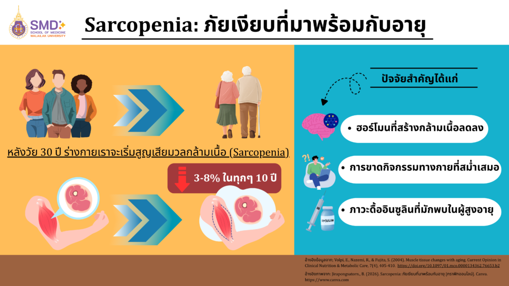 Sarcopenia: ภัยเงียบที่มาพร้อมกับอายุ
