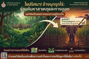 ทำไมช้างป่าจึงออกมาบุกรุกพื้นที่เกษตรมากขึ้น?