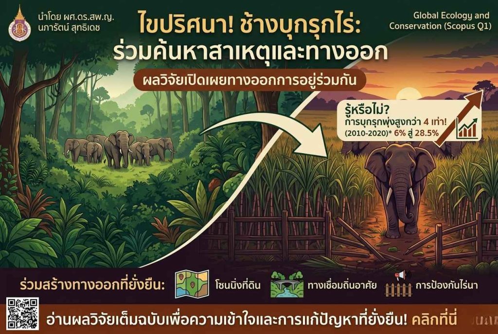 ทำไมช้างป่าจึงออกมาบุกรุกพื้นที่เกษตรมากขึ้น?