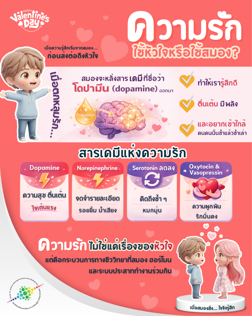 ความรัก ใช้หัวใจหรือใช้สมอง?