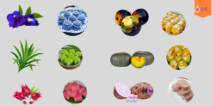 สีอาหารธรรมชาติ